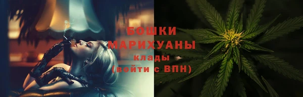 стафф Аркадак