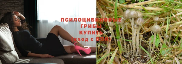 стафф Аркадак