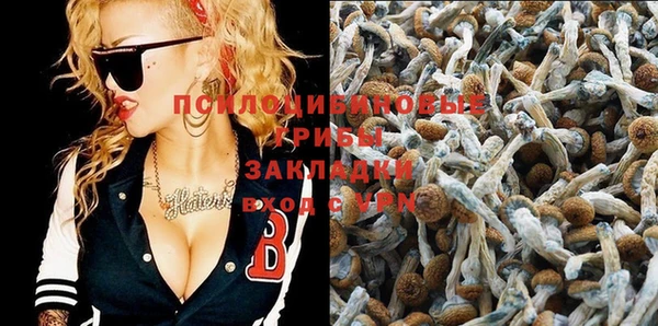 стафф Аркадак